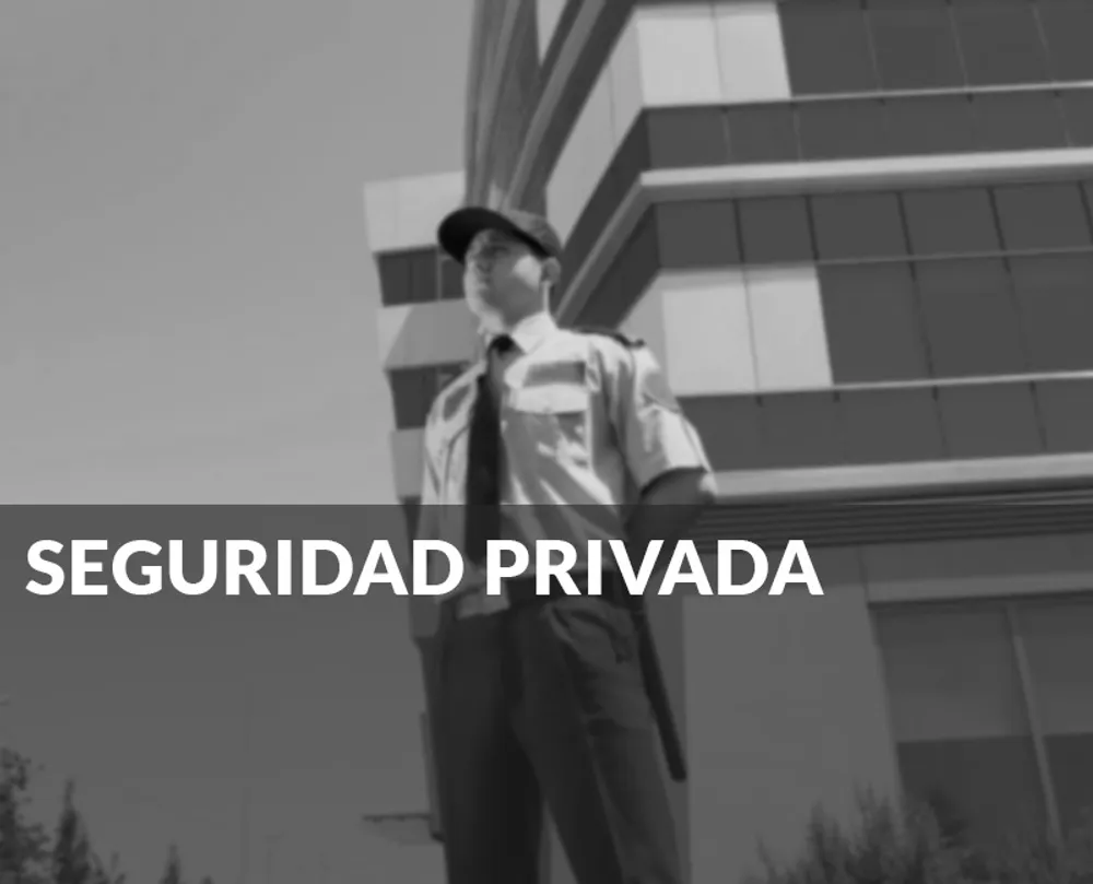 Seguridad privada