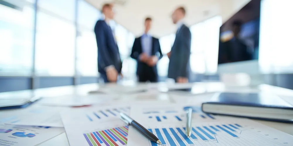 Rentabilización Empresarial